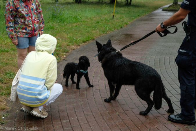 Dzień Sąsiada na Lotnisku. Fotorelacja