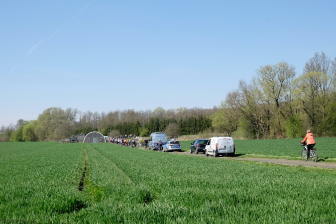 Wiosenna Rowerowa Masa Krytyczna. Galeria