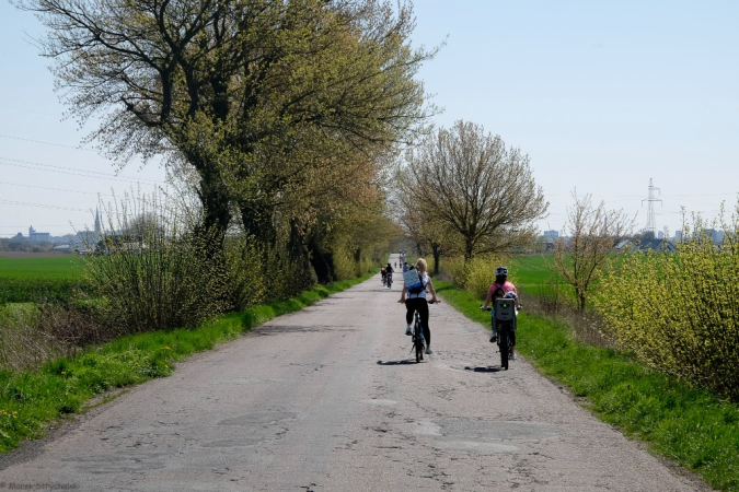 Wiosenna Rowerowa Masa Krytyczna. Galeria