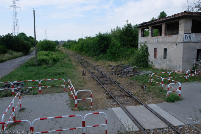 Dni Stargardu: czerwony autobus ulicami miasta mknie. Fotorelacja