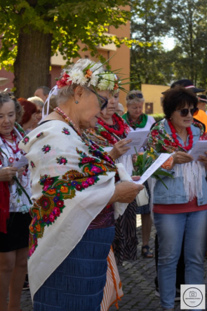 Senioriada 2023 - sobota. Fotorelacja