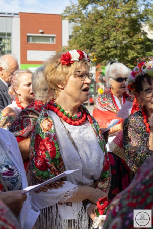 Senioriada 2023 - sobota. Fotorelacja