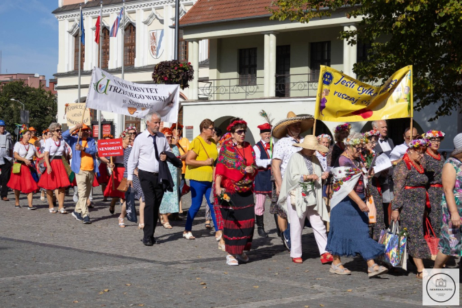 Senioriada 2023 - sobota. Fotorelacja