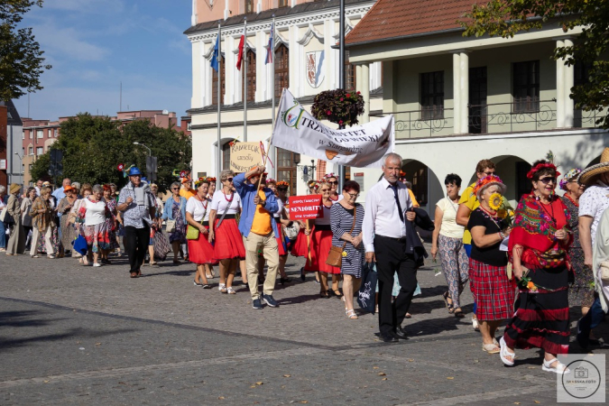 Senioriada 2023 - sobota. Fotorelacja