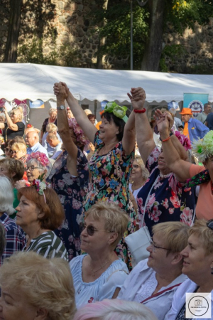 Senioriada 2023 - sobota. Fotorelacja