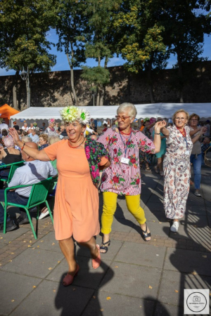 Senioriada 2023 - sobota. Fotorelacja