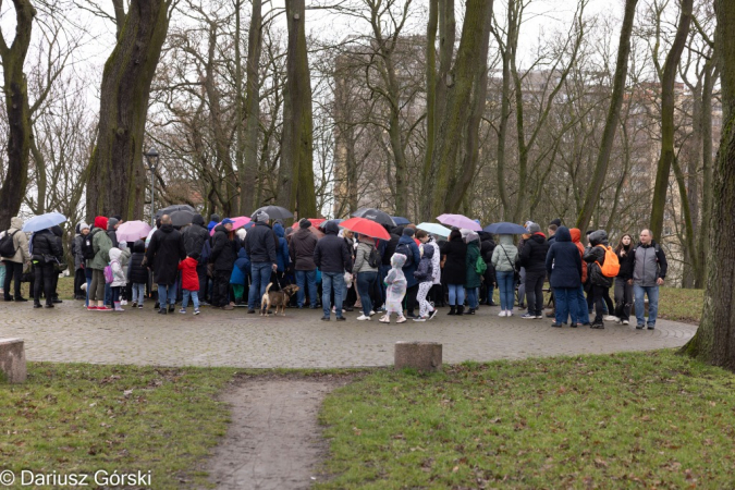 Śladami Gryfików - spacer historyczny. Fotorelacja