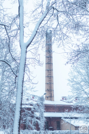 Zimowe klimaty w śnieżnym nastroju.