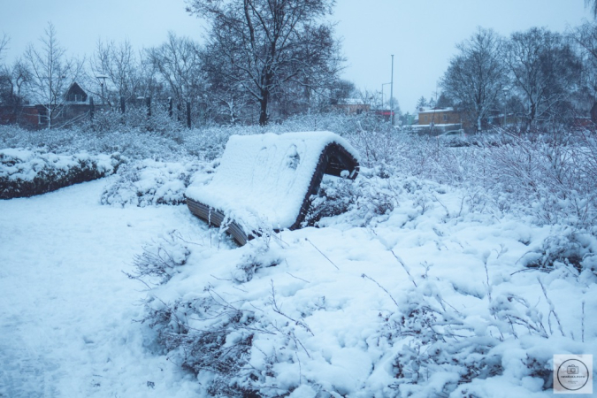 Zimowe klimaty w śnieżnym nastroju.