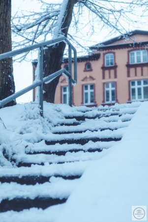 Zimowe klimaty w śnieżnym nastroju.