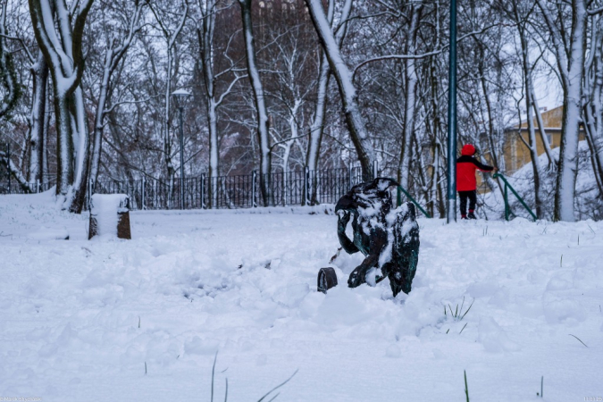 Zimowe klimaty w śnieżnym nastroju.