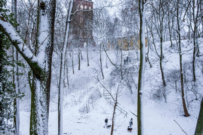 Zimowe klimaty w śnieżnym nastroju.