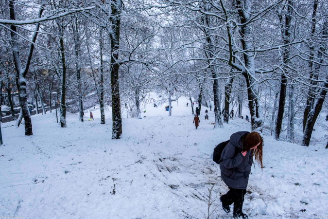 Zimowe klimaty w śnieżnym nastroju.