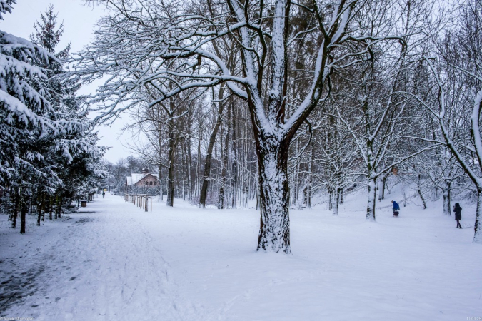 Zimowe klimaty w śnieżnym nastroju.