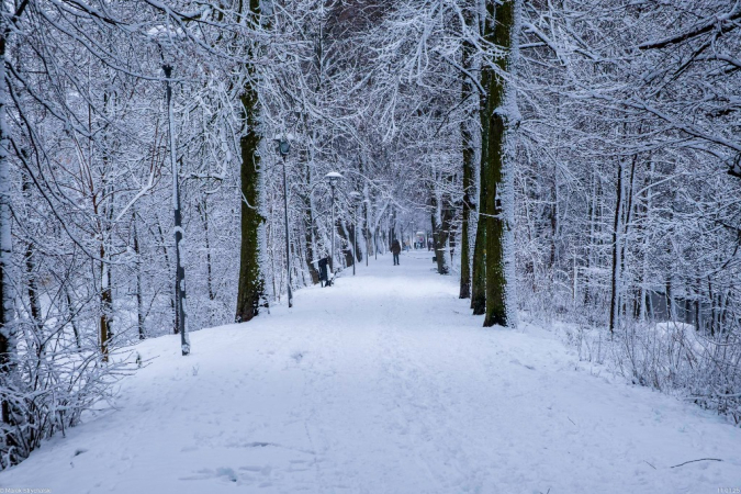 Zimowe klimaty w śnieżnym nastroju.