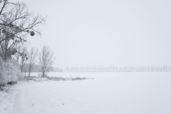 Zimowe klimaty w śnieżnym nastroju.