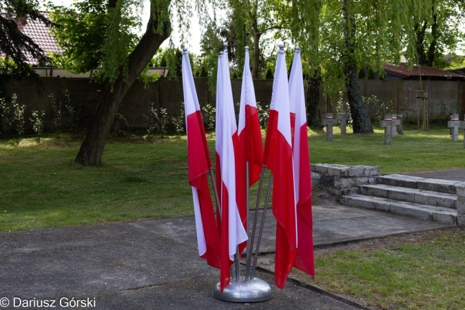 8 maja: Narodowy Dzień Zwycięstwa. Fotorelacja