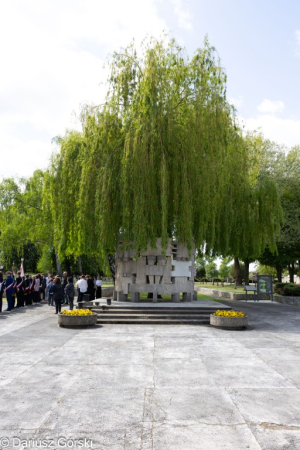 8 maja: Narodowy Dzień Zwycięstwa. Fotorelacja