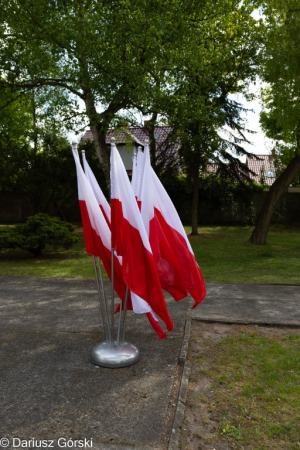 8 maja: Narodowy Dzień Zwycięstwa. Fotorelacja