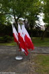 8 maja: Narodowy Dzień Zwycięstwa. Fotorelacja