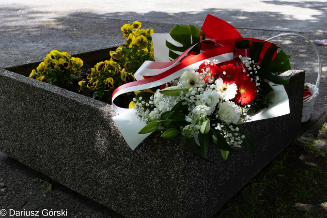 8 maja: Narodowy Dzień Zwycięstwa. Fotorelacja