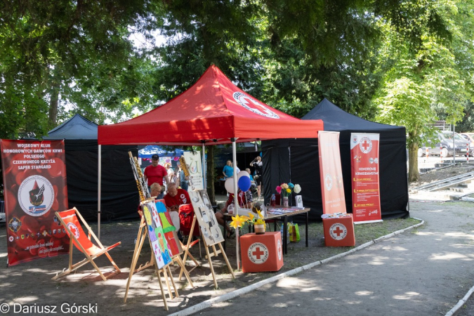 Festyn Organizacji Pozarządowych. Fotorelacja