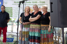 Festyn Organizacji Pozarządowych. Fotorelacja