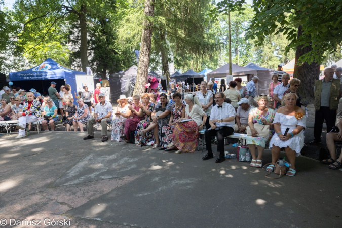 Festyn Organizacji Pozarządowych. Fotorelacja
