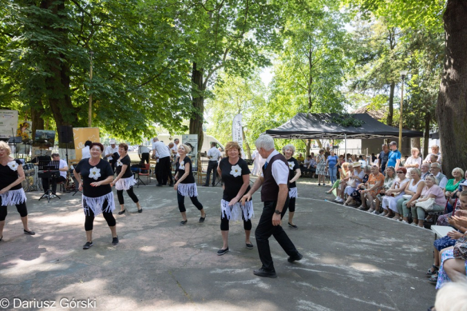 Festyn Organizacji Pozarządowych. Fotorelacja