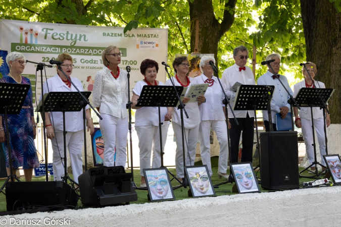 Festyn Organizacji Pozarządowych. Fotorelacja