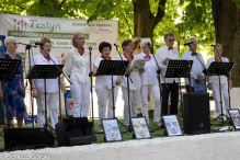 Festyn Organizacji Pozarządowych. Fotorelacja