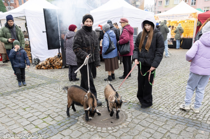 Jarmark Świąteczny pod Szczęśliwą Gwiazdą. Fotorelacja
