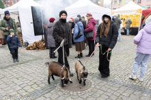 Jarmark Świąteczny pod Szczęśliwą Gwiazdą. Fotorelacja
