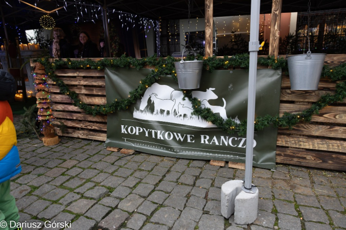 Jarmark Świąteczny pod Szczęśliwą Gwiazdą. Fotorelacja