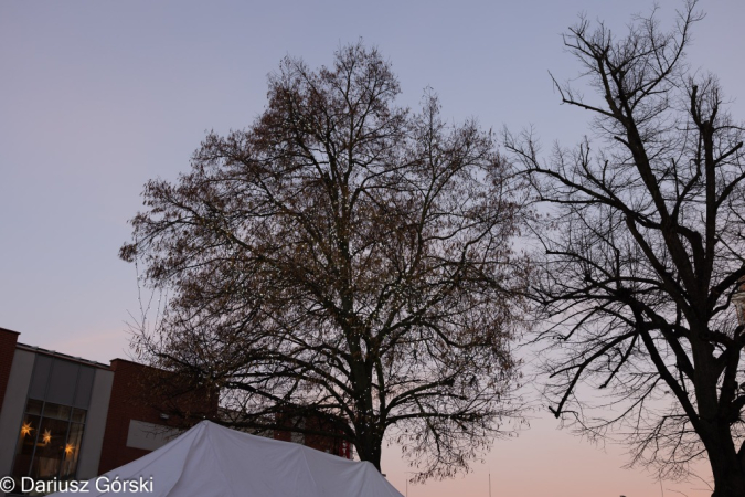 Jarmark Świąteczny pod Szczęśliwą Gwiazdą. Fotorelacja