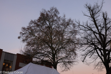Jarmark Świąteczny pod Szczęśliwą Gwiazdą. Fotorelacja
