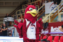 PGE Spójnia Stargard - Decka Pelplin. Fotorelacja