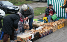 Targowisko bez opłat?