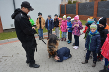 Atrakcje nie gorsze niż na placu zabaw