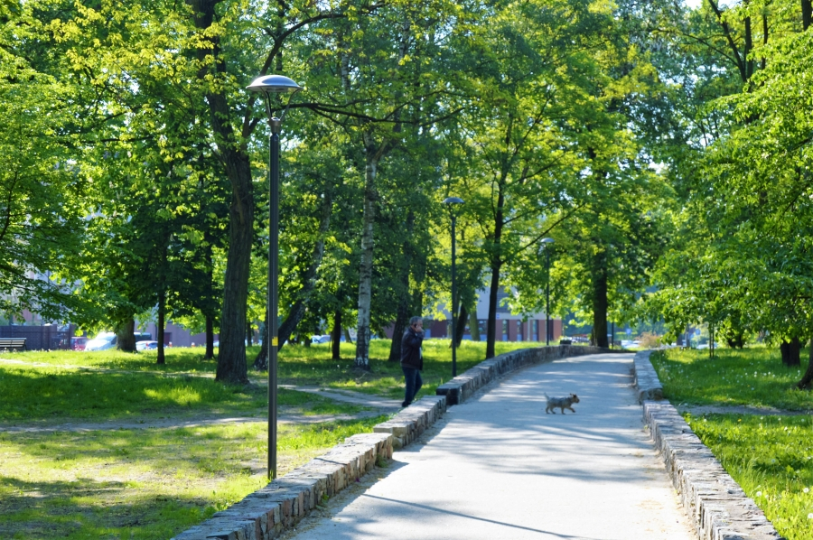 Nowoczesne oświetlenie w Parku 3 Maja