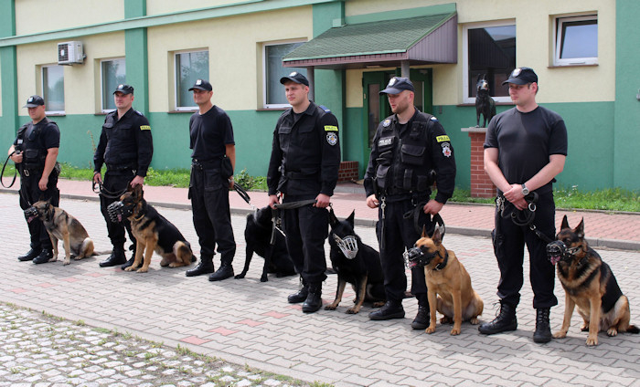 Eliminacje Wojewódzkie XVI Kynologicznych Mistrzostw Polski- zakończone