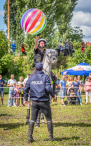 Policyjne konie na zawodach Sedina Horse Show 2016