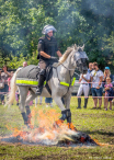 Policyjne konie na zawodach Sedina Horse Show 2016