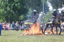 Policyjne konie na zawodach Sedina Horse Show 2016