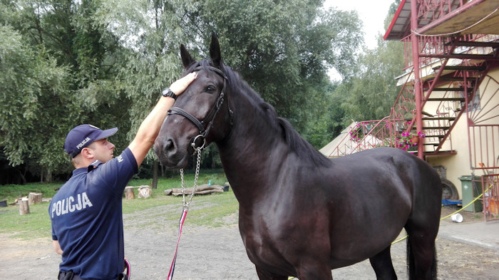 Karmel ? nowy koń w szeregach zachodniopomorskiej polji