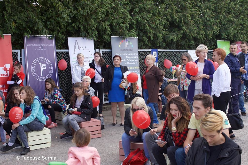 POWIATOWE POSZUKIWANIE BLIŹNIAKÓW GENETYCZNYCH