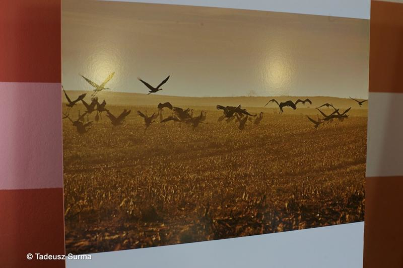 NAGRODZENI W KONKURSIE FOTOGRAFICZNYM ?OBLICZA PRZYRODY W POWIECIE STARGARDZKIM?