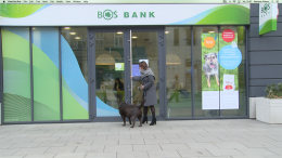 Psy zdobywają bank ? rewolucja czworonogów