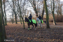 POLICJA KONNA W POWIECIE STARGARDZKIM