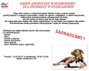 Dzień adopcyjny w Schronisku dla zwierząt w Stargardzie.